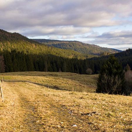 Gemuetliche Ferienwohnung - Mitten Im Schwarzwald Bernau im Schwarzwald Exteriér fotografie