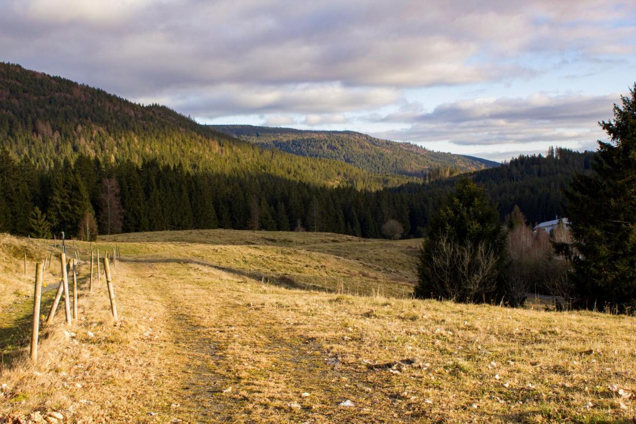 Gemuetliche Ferienwohnung - Mitten Im Schwarzwald Bernau im Schwarzwald Exteriér fotografie