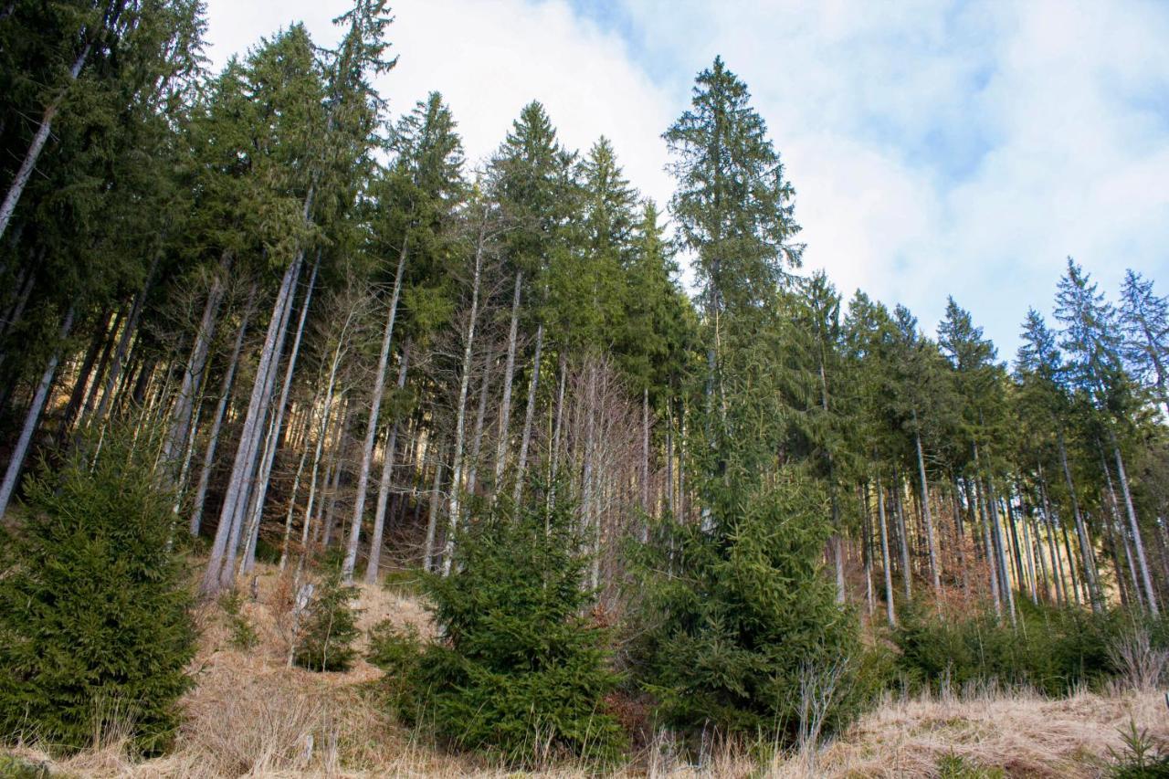 Gemuetliche Ferienwohnung - Mitten Im Schwarzwald Bernau im Schwarzwald Exteriér fotografie