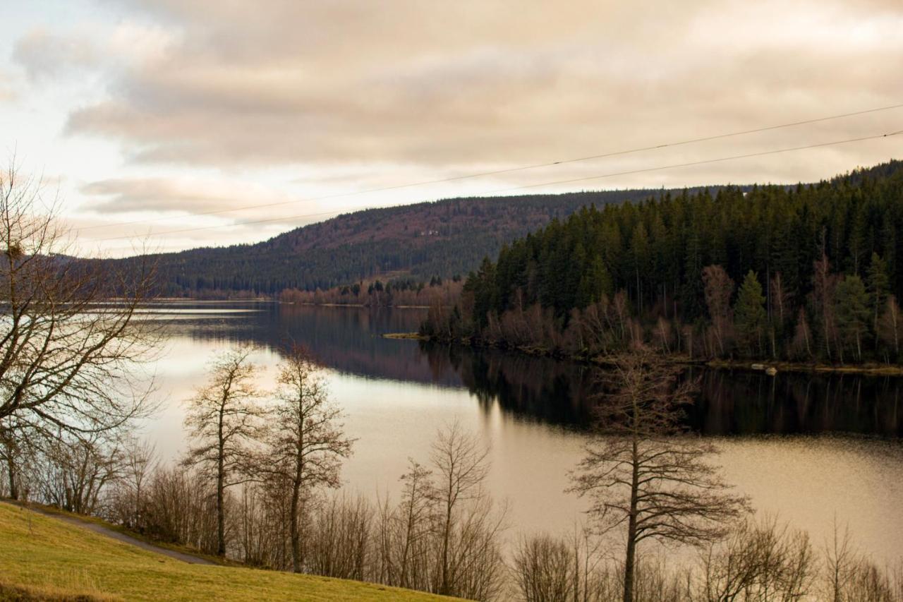 Gemuetliche Ferienwohnung - Mitten Im Schwarzwald Bernau im Schwarzwald Exteriér fotografie